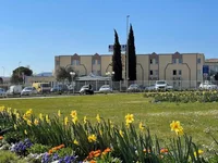 découvrez le guide incontournable du casino d'alès : jeux, horaires, avis, services et conseils pour profiter pleinement de votre expérience au casino d'alès.